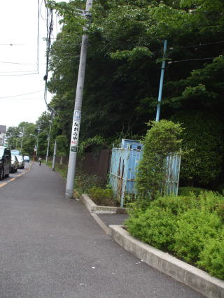 春の息吹